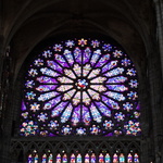 La rose sud de Saint-Denis