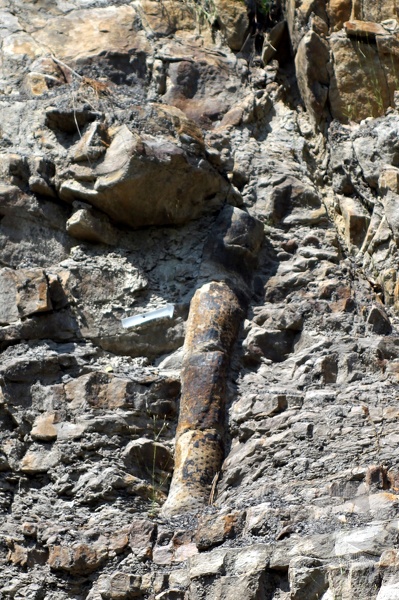 La_Grand_Combe_2013_9258.jpg