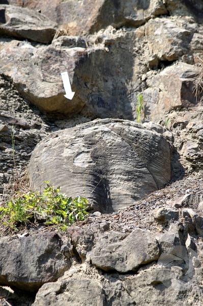 Prévoir au moins 2h30 pour la visite du site. La_Grand_Combe_2013_9271.jpg