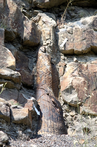 La_Grand_Combe_2013_9274.jpg