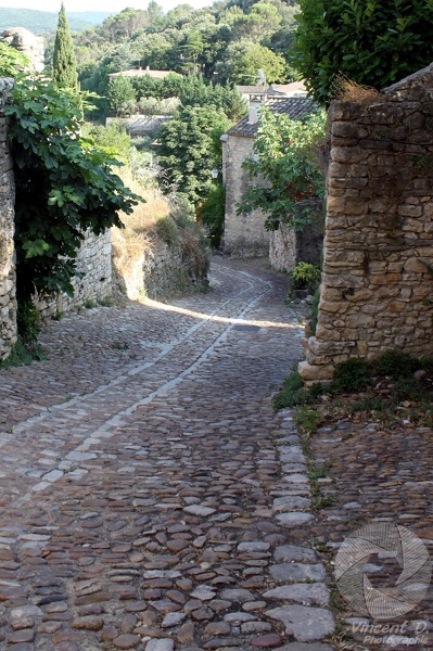 La_Roque_2013_9463.jpg