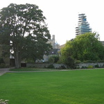 Christ Church College