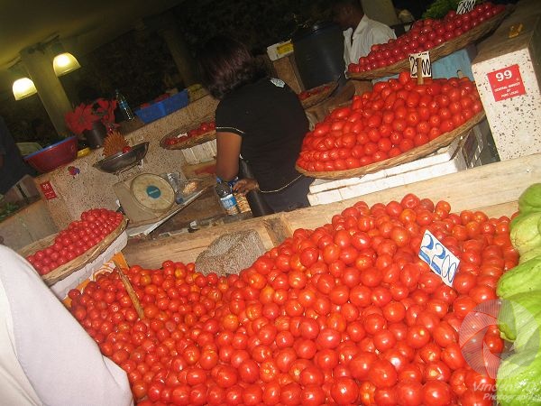 Plus sage, ce sont les tomates. IMG_6372.jpg
