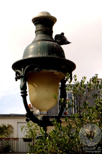 Entre amis photographes... Photowalk_2015_06_7173.jpg