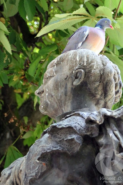 Une femme de lettres française Photowalk_2015_06_7180.jpg