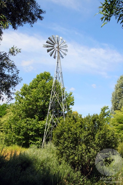 Au gré du vent et de la verdure du Parc Photowalk_2015_06_7201.jpg