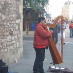 Harpist