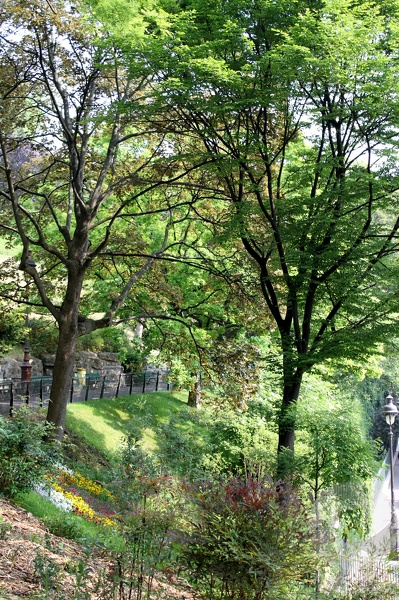 Jardin Louise Michel - Balade_2011_04_3798.jpg Balade_2011_04_3798.jpg