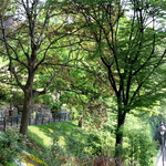 Jardin Louise Michel