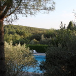 Pin, piscine et la garrigue