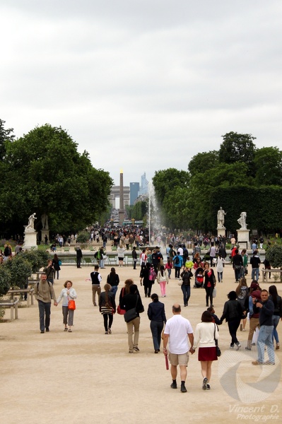 L'alignement du jardin des Tuileries Paris_Photowalk_2013_8880.jpg