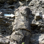 La forêt fossile de Champclauson