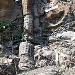 La forêt fossile de Champclauson