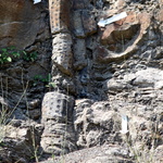 La forêt fossile de Champclauson