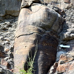 La forêt fossile de Champclauson