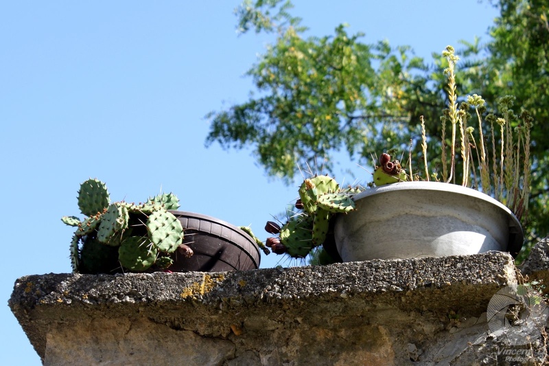 La_Roque_2013_9437.jpg