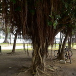 Grand-Baie