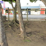 Grand-Baie