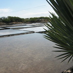 Salins de Tamarin