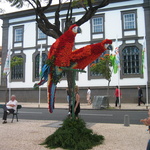 Funchal (Madère)