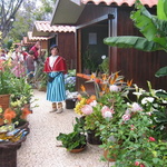 Funchal (Madère)