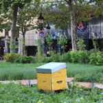 L'agriculture sur les Champs Elysées