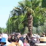 L'agriculture sur les Champs Elysées