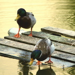 Parc de Bercy