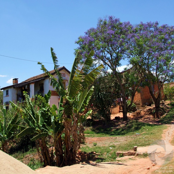 Maison avec cheminée (rare) en campagne Mcar_2014_11_4424.jpg