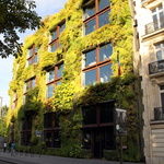 Le Mur végétal du quai Branly